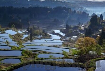 国产麻豆精品传媒av国产-国产优质内容，探究国产麻豆精品传媒的成长之路与文化价值
